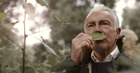 The Power of Scent: How Olfactory Memory Connects Us to the Past